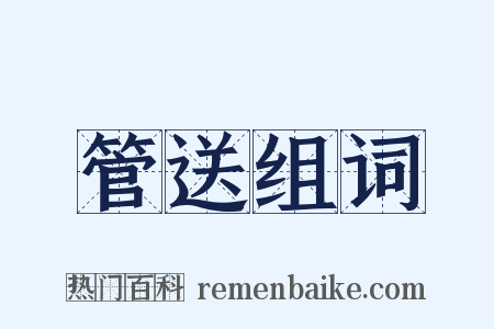 管送组词是什么意思的图片